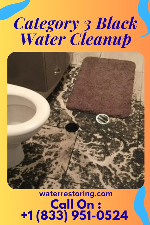 Category 3 Black Water Cleanup in Rowes Run, PA