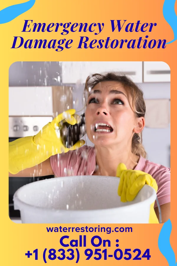 Emergency Water Damage Restoration in Rowes Run, PA