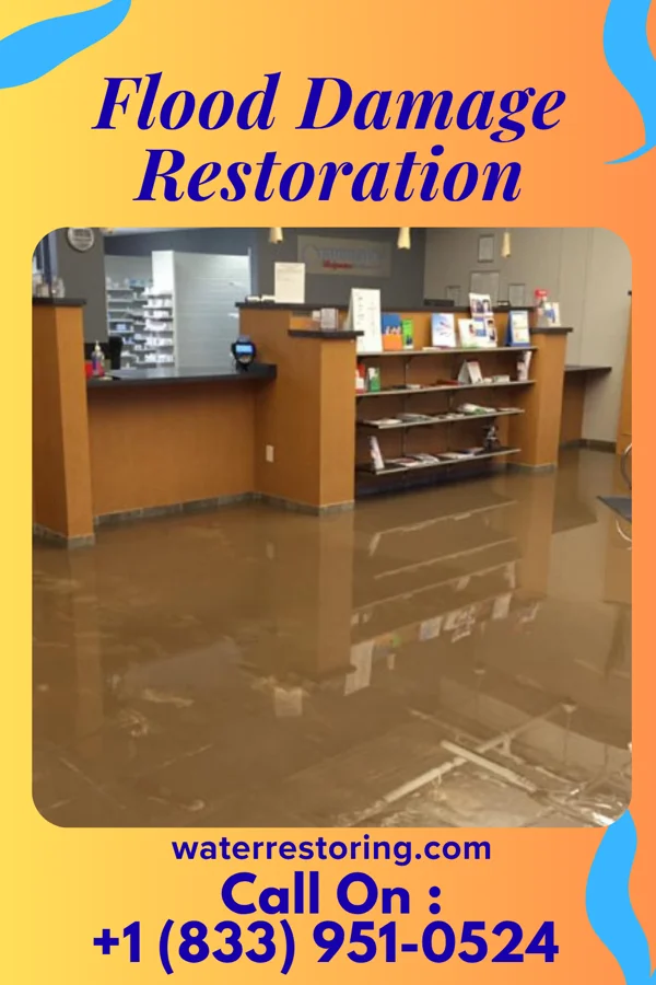 Flood Damage Restoration in Rowes Run, PA