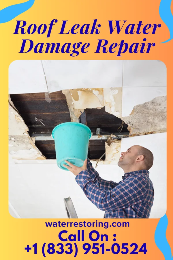 Roof Leak Water Damage Repair in Rowes Run, PA