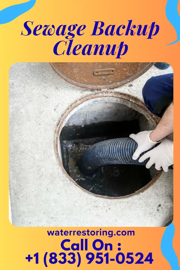 Sewage Backup Cleanup in Rowes Run, PA