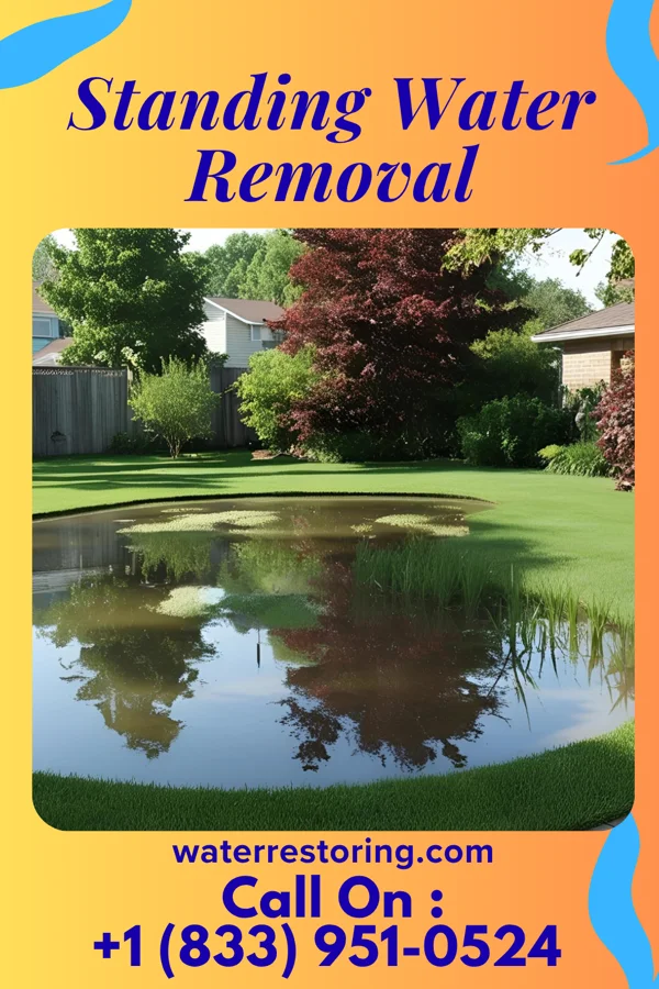 Standing Water Removal in Rowes Run, PA